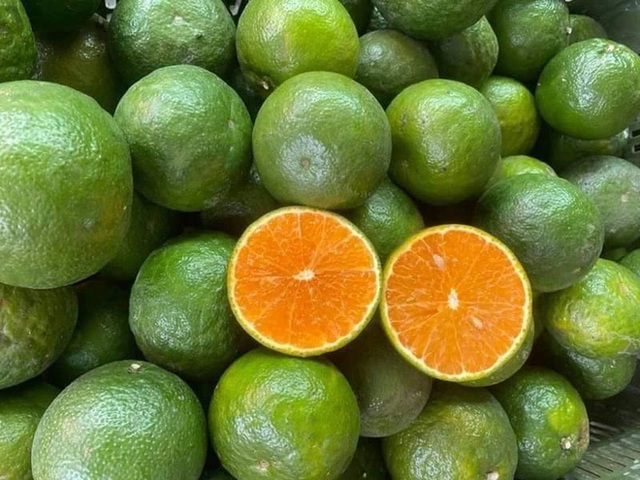 Loại quả giàu vitamin C bán đắt như tôm tươi mùa dịch, giá tăng gấp đôi, khách đặt mua mấy lần đều hụt - Ảnh 1.