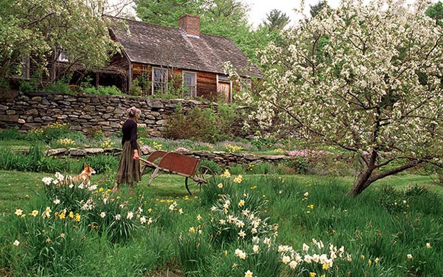 Chào mừng bạn đến với căn nhà vườn đầy rực rỡ màu sắc. Tận hưởng không gian xanh mát, đón nhận năng lượng dồi dào từ thiên nhiên và cảm nhận sự yên bình của không gian sống đầy nhân văn.