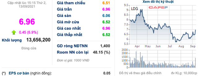 Lợi nhuận giảm mạnh và vướng mắc tại nhiều dự án, cổ phiếu LDG vẫn tăng mạnh với thanh khoản lớn - Ảnh 1.