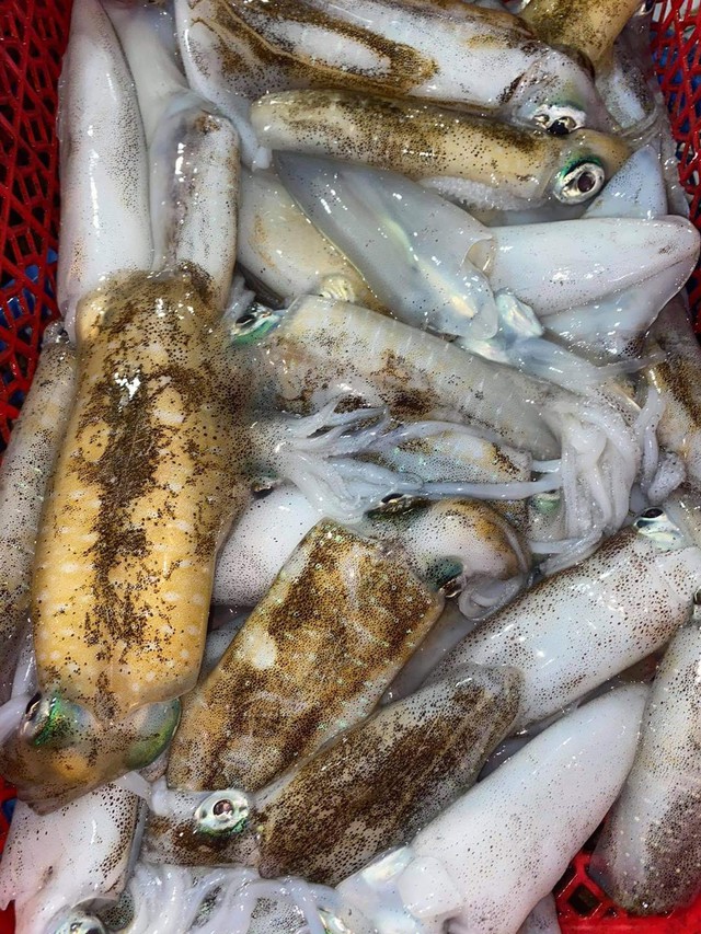 Dịch bệnh vắng khách du lịch, giá nhiều loại hải sản Phú Quốc giảm sâu - Ảnh 8.