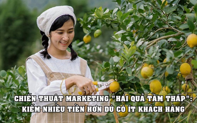 ‘Hái quả tầm thấp’ – chiến thuật marketing giúp nhiều công ty vẫn ăn nên làm ra dù có ít khách hàng, bỏ ra chi phí tối thiểu thu về lợi nhuận không hề thấp