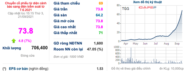 Louis Capital (TGG): Thành viên HĐQT nộp đơn từ nhiệm - Ảnh 1.