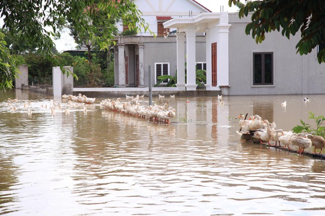 Hình ảnh chưa từng có trong tâm lụt tại Nghệ An - Ảnh 5.