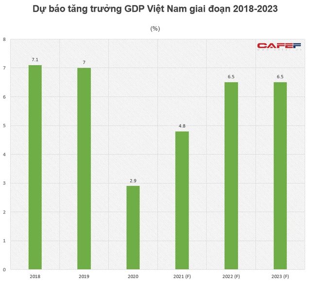 Ngân hàng Thế giới dự báo tăng trưởng GDP Việt Nam năm nay đạt 4,8% - Ảnh 1.