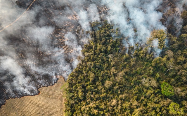 Lửa bùng cháy tại một trang trại ở bang Sao Paulo ngày 24/8