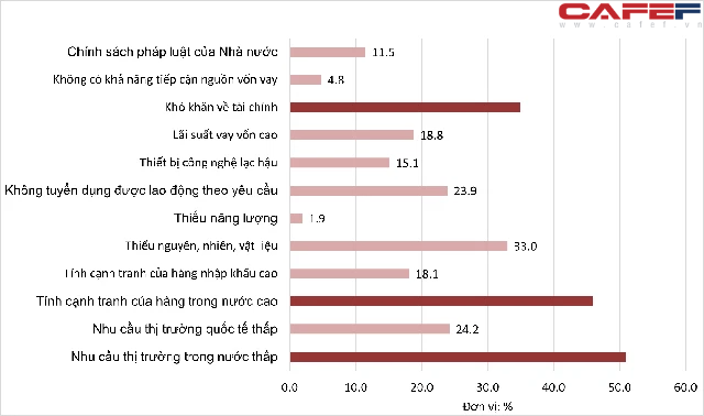 Sản xuất 3 tháng cuối năm của các doanh nghiệp ở TPHCM, Bình Dương… sẽ ra sao? - Ảnh 1.