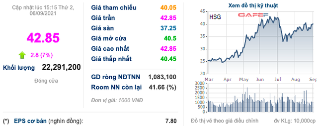 Hoa Sen (HSG): Cổ phiếu tăng mạnh, người nhà Thành viên HĐQT bán ra phần lớn cổ phần - Ảnh 1.
