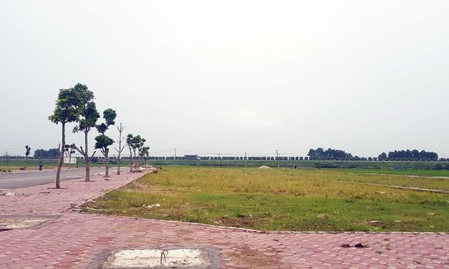 Bắc Ninh thu hồi dự án khu liền kề, nhà vườn sau thanh tra - Ảnh 1.