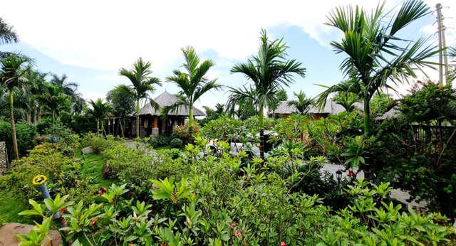 Nhà vườn 2000m2 tuyệt đẹp ở ngoại thành Hà Nội: Có mái lá, bể bơi và cả sân golf mini, không gian sống lý tưởng như resort cao cấp, ai cũng mê - Ảnh 5.