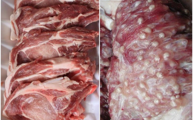 4 bộ phận này của lợn tuy ngon nhưng là “ổ chứa vi khuẩn”, lỡ ăn phải rước tỷ bệnh vào người