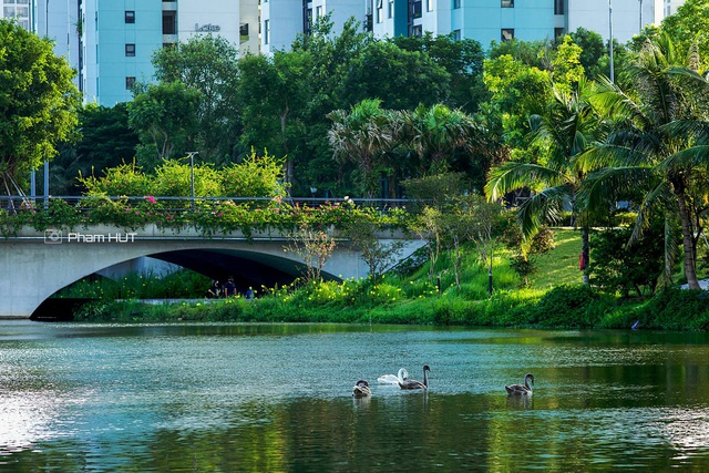 Giảng viên đại học gây bão với những bức ảnh chụp tại “thành phố xanh”: “Lựa chọn nhà ‘vô tình’ nhưng lại quá ưng ý sau 3 năm sinh sống, không vác máy đi chụp thì cảm thấy thật có lỗi” - Ảnh 6.