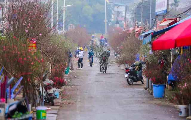 Sắc xuân xuống phố, nhiều tiểu thương méo mặt vì thị trường Tết ảm đạm - Ảnh 1.