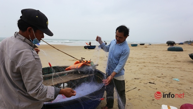 Trúng mùa cá khoai, ngư dân xứ Quảng thu nhập tiền triệu mỗi ngày - Ảnh 3.