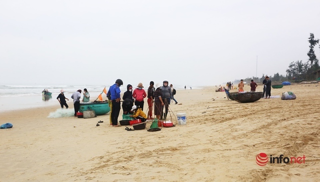 Trúng mùa cá khoai, ngư dân xứ Quảng thu nhập tiền triệu mỗi ngày - Ảnh 5.