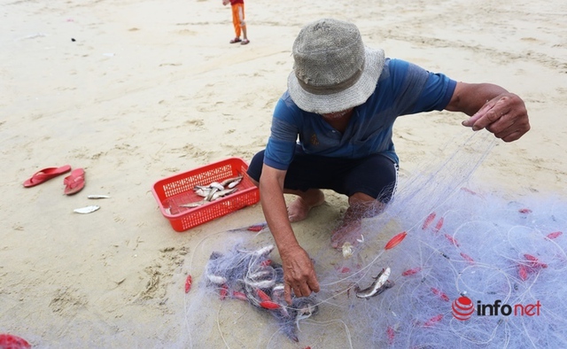 Trúng mùa cá khoai, ngư dân xứ Quảng thu nhập tiền triệu mỗi ngày - Ảnh 7.