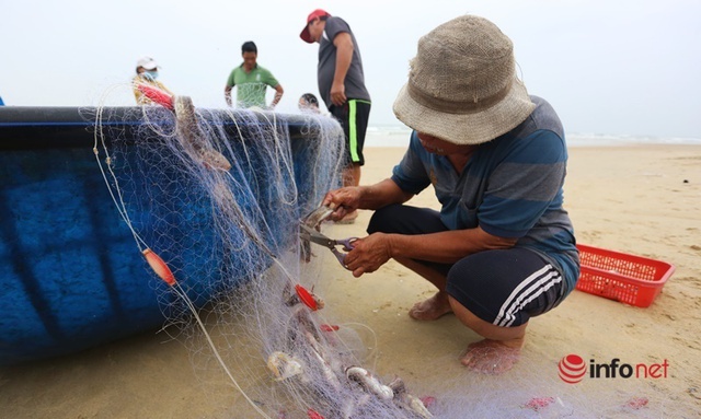 Trúng mùa cá khoai, ngư dân xứ Quảng thu nhập tiền triệu mỗi ngày - Ảnh 9.
