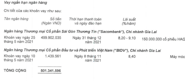 Ngân hàng sắp bán hơn 48 triệu cổ phiếu HNG ước tính giá trị gần 600 tỷ đồng để thu hồi nợ của Hoàng Anh Gia Lai - Ảnh 1.