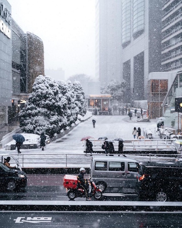 Chùm ảnh: Khung cảnh Tokyo dưới tuyết trắng đẹp đến nao lòng, phảng phất nét buồn tựa cổ tích mùa đông - Ảnh 11.