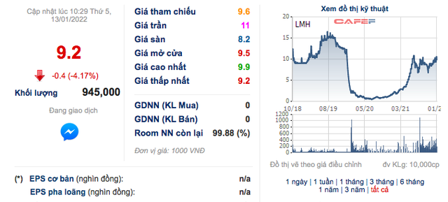 Landmark Holding (LMH): Năm 2021 lỗ tiếp 12 tỷ đồng - Ảnh 1.