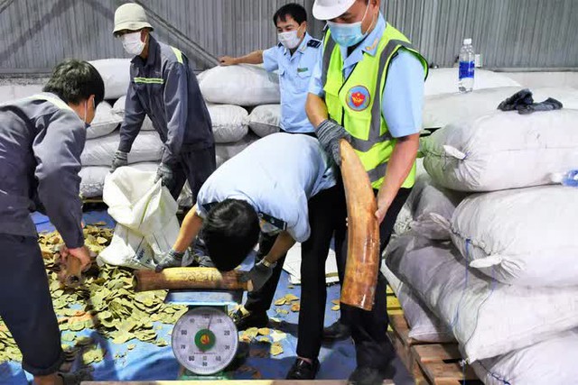  Bí mật bên trong hàng tấn hạt điều nhập khẩu từ Nigeria vào Việt Nam  - Ảnh 3.
