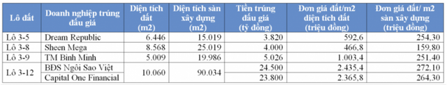  Tay chơi thứ ba trong vụ đấu giá Thủ Thiêm - Ảnh 1.