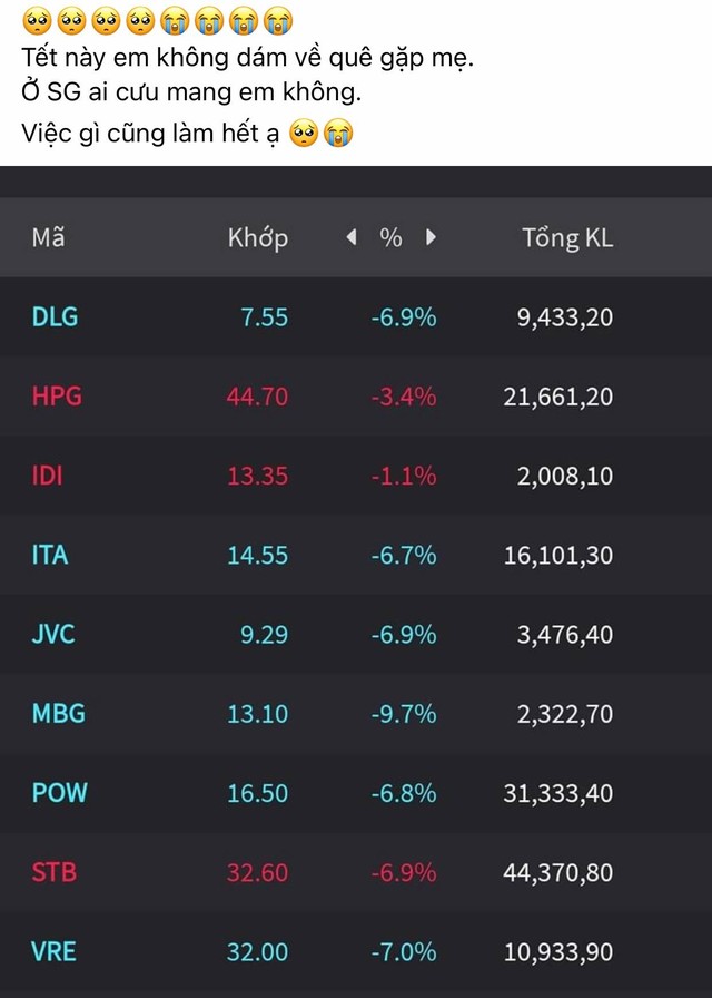 Nhà đầu tư F0 choáng váng với phiên giảm sốc đầu tuần: 3 tháng lương bay vèo chỉ sau một phiên giao dịch! - Ảnh 2.