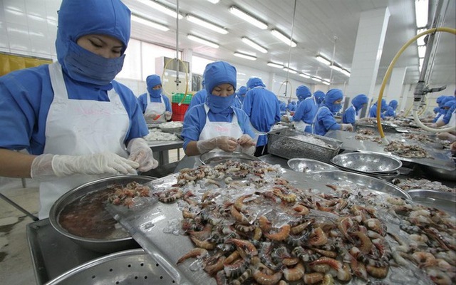 Đến nay chưa có bằng chứng nào về nguy cơ lây dịch bệnh từ các sản phẩm thủy sản nhập khẩu đông lạnh sang thủy sản sống trong nước - Tiền Phong