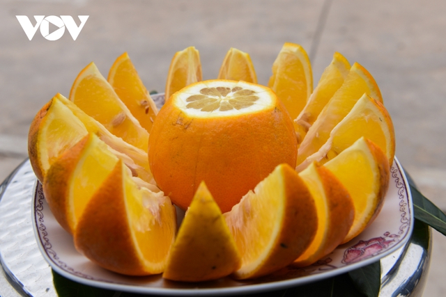 Được mùa được giá, người trồng cam ở Bắc Giang dự kiến thu tiền tỷ - Ảnh 15.