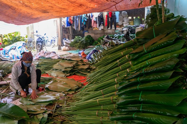 Người dân làng trồng lá dong tại Hà Nội tất bật ‘hái lá đếm tiền’ dịp cận Tết - Ảnh 8.
