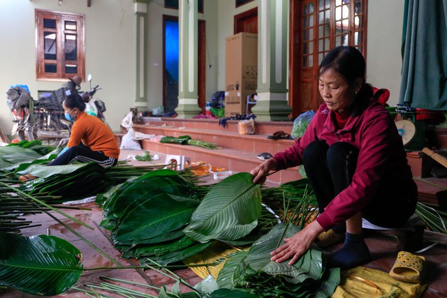 Người dân làng trồng lá dong tại Hà Nội tất bật ‘hái lá đếm tiền’ dịp cận Tết - Ảnh 9.