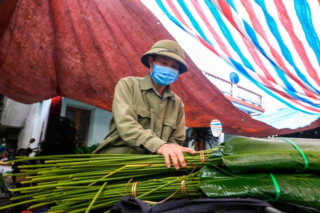 Người dân làng trồng lá dong tại Hà Nội tất bật ‘hái lá đếm tiền’ dịp cận Tết - Ảnh 10.