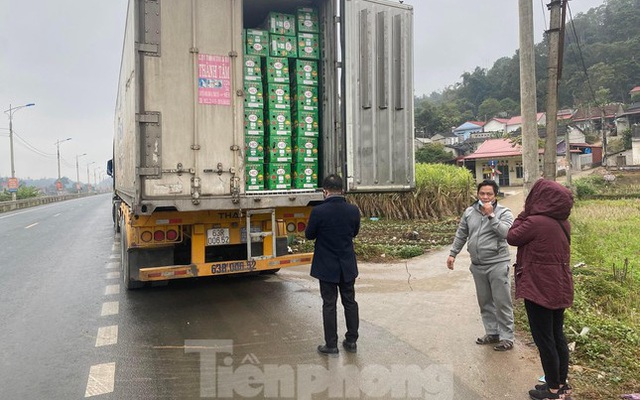 Lạng Sơn mỗi ngày 'giải cứu' hàng trăm tấn trái cây quay đầu