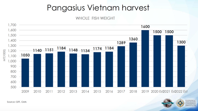 Sản lượng cá tra toàn cầu năm 2022 có nguy cơ giảm gần 5%, nguyên nhân chủ yếu đến từ Việt Nam - Ảnh 1.
