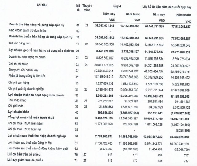 DRH Holdings (DRH): Năm 2021 chỉ lãi 14 tỷ đồng, chính thức vỡ kế hoạch kinh doanh - Ảnh 1.