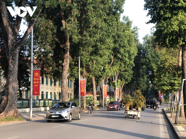 Trang trí đường phố Tết: Thủ đô Hà Nội giảm so với mọi năm - Ảnh 5.