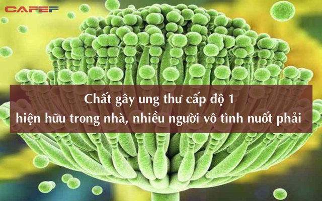 Chất gây ung thư cấp độ 1 được cảnh báo tại nhiều quốc gia, độc tính gấp 10 lần kali xyanua: Hóa ra hiện hữu ngay trong nhà