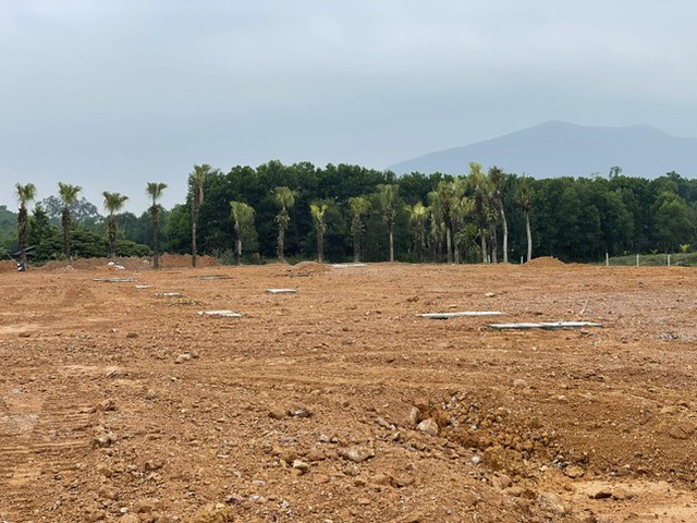 Thực hư khu đất gắn mác dự án phân lô bán nền rầm rộ ở Thanh Hóa - Ảnh 1.