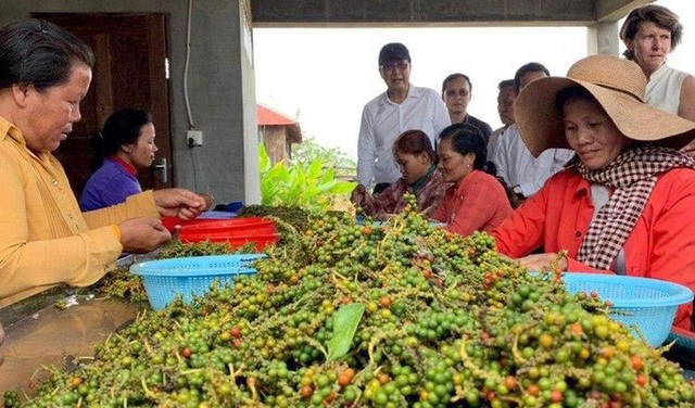 Nông sản Campuchia đi sau về trước, đắt gấp 2-3 lần Việt Nam: Công lớn thuộc về 1 người - Ảnh 1.