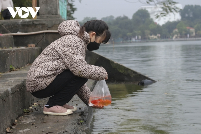 Người dân đã ý thức hơn khi thả cá tiễn ông Công, ông Táo về Trời - Ảnh 3.