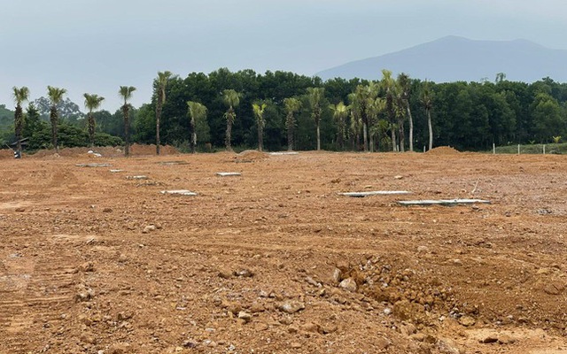 Thực hư khu đất gắn mác dự án phân lô bán nền rầm rộ ở Thanh Hóa