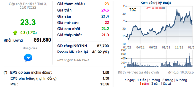 Becamex TDC: Năm 2021 lãi 122 tỷ đồng, giảm 40% so với cùng kỳ - Ảnh 2.