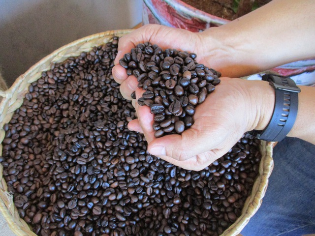Lô cà phê xuất khẩu Trung Quốc bị kẹt ở cảng cả tháng vì thiếu mã số - Ảnh 1.