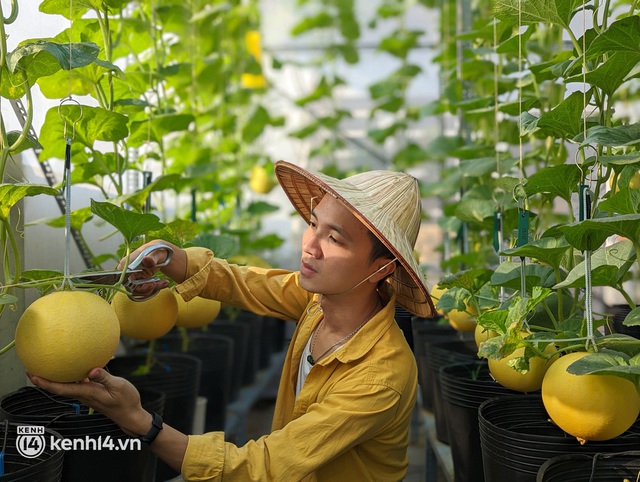 Chàng kiến trúc sư trẻ biến sân thượng thuê trọ thành vườn cây trái sum suê, nổi bật giữa trung tâm Sài Gòn - Ảnh 1.