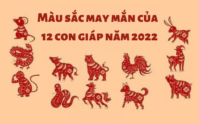 Màu sắc may mắn của 12 con giáp trong năm Nhâm Dần: Chọn trang phục mặc Tết để năm mới an khang, tài lộc "vào như nước"