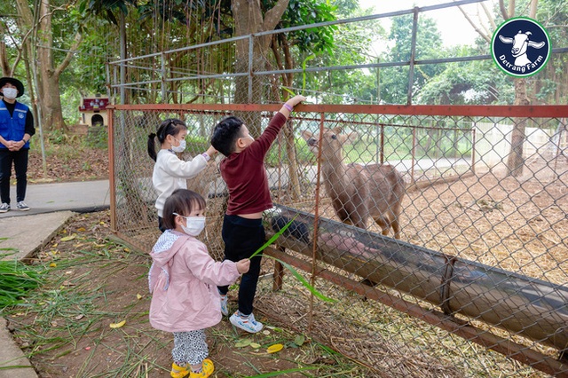 Một vài địa điểm vui chơi ở Hà Nội mở xuyên Tết, bố mẹ tha hồ đưa con đi du Xuân thôi! - Ảnh 2.