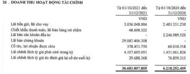 Thép Tiến Lên (TLH) thu lãi 29 tỷ đồng từ bán chứng khoán trong quý 4 - Ảnh 1.