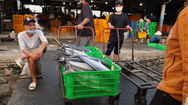  Sướng mắt với lộc biển cuối năm ở Bà Rịa- Vũng Tàu  - Ảnh 10.