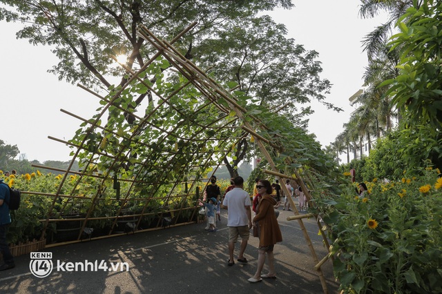 Đường hoa xuân ở phố nhà giàu Phú Mỹ Hưng đậm chất làng quê 3 miền, du khách ùn ùn đến “check in” - Ảnh 5.