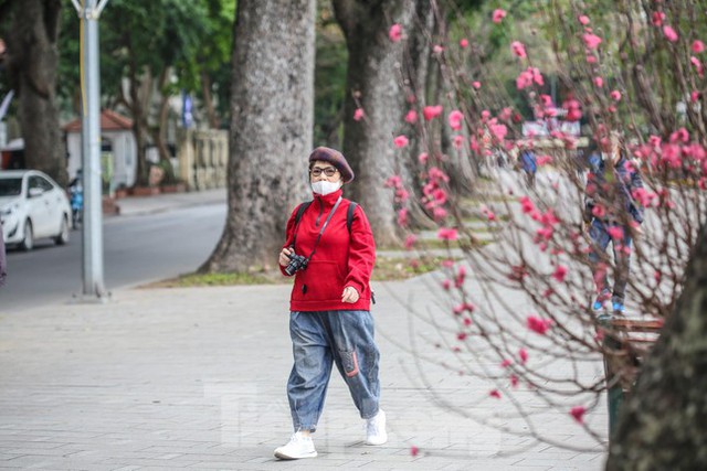  Đào bung sắc bên thảm hoa rực rỡ quanh Hồ Gươm đón Tết Nhâm Dần 2022  - Ảnh 6.