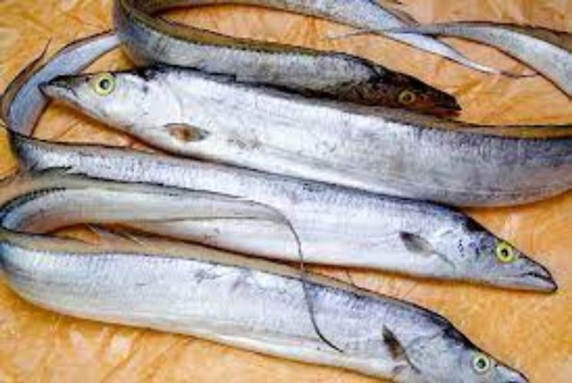 Khi đi chợ, thấy 4 loại cá này nhất định nên mua vì chúng vừa mềm giá lại cực bổ dưỡng - Ảnh 1.
